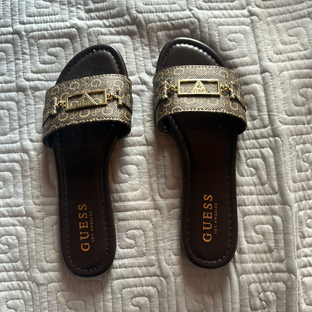Guess slides